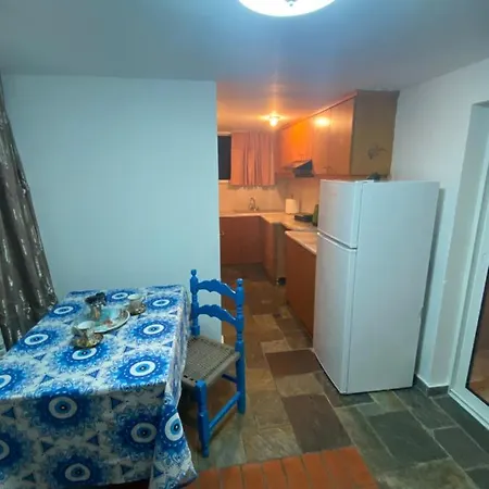 公寓 Sea View Apartament Psalidi